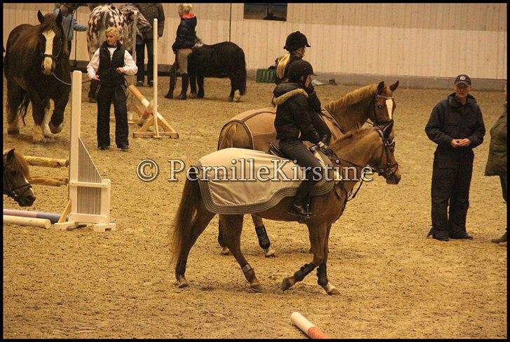 RAMASJANG LIVE PÅ VILHELMSBORG .. billede 276