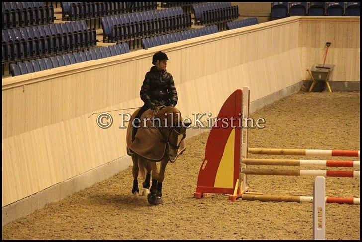 RAMASJANG LIVE PÅ VILHELMSBORG .. billede 277