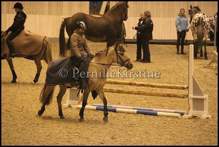 RAMASJANG LIVE PÅ VILHELMSBORG .. billede 278