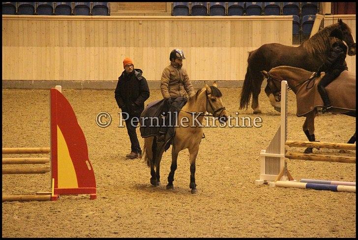 RAMASJANG LIVE PÅ VILHELMSBORG .. billede 279