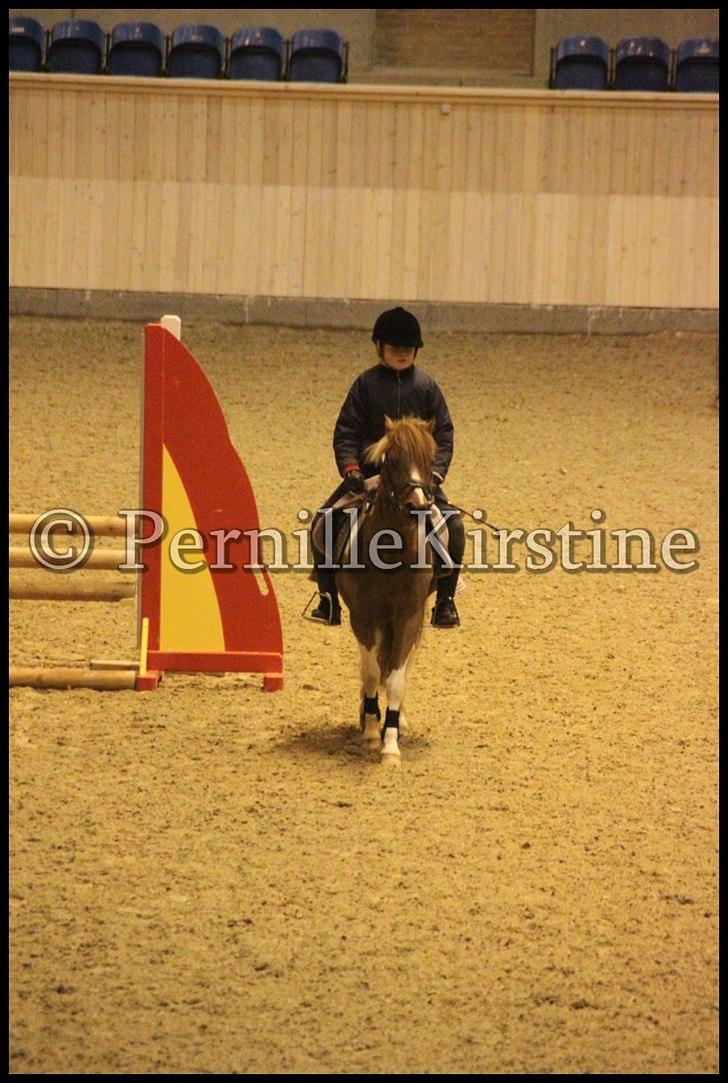 RAMASJANG LIVE PÅ VILHELMSBORG .. billede 281