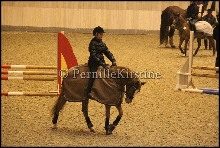 RAMASJANG LIVE PÅ VILHELMSBORG .. billede 282