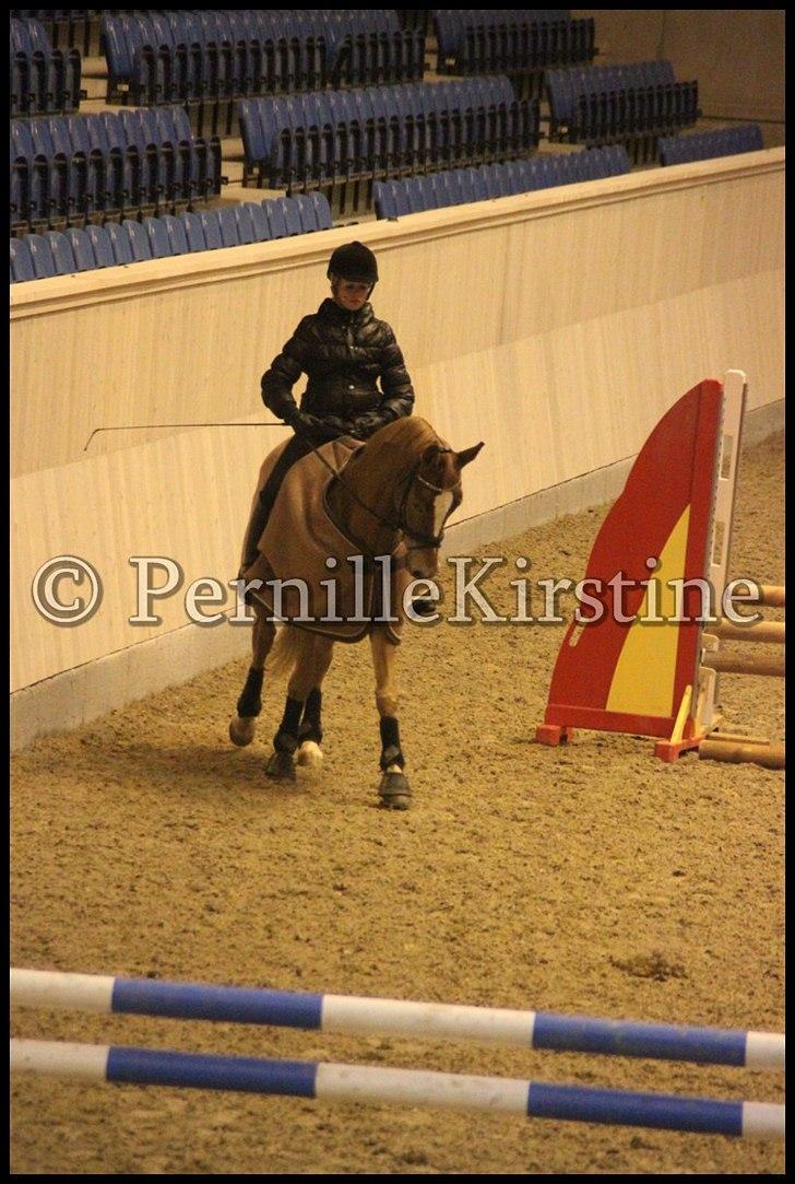 RAMASJANG LIVE PÅ VILHELMSBORG .. billede 283