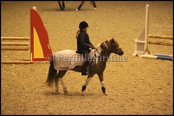 RAMASJANG LIVE PÅ VILHELMSBORG .. billede 284