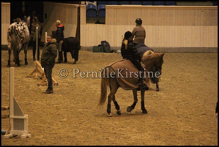 RAMASJANG LIVE PÅ VILHELMSBORG .. billede 287