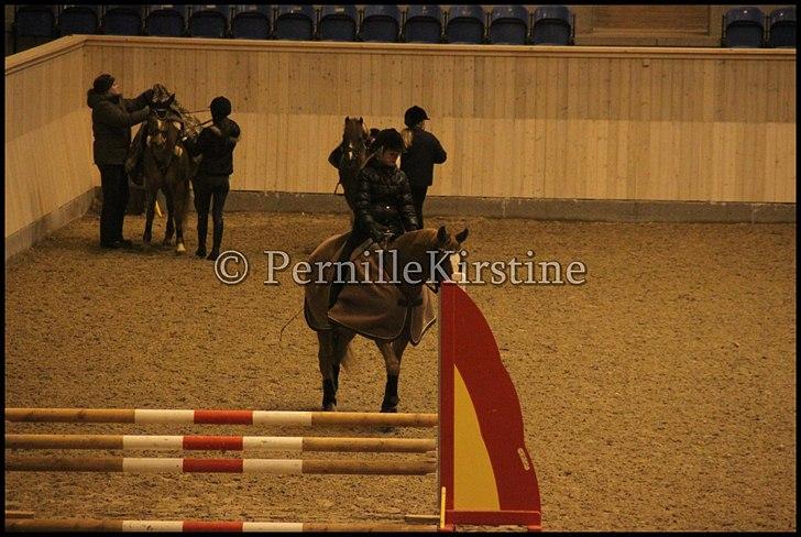 RAMASJANG LIVE PÅ VILHELMSBORG .. billede 288