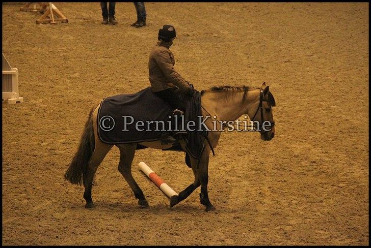 RAMASJANG LIVE PÅ VILHELMSBORG .. billede 289