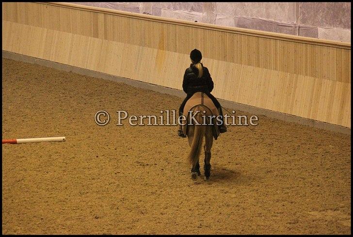 RAMASJANG LIVE PÅ VILHELMSBORG .. billede 290