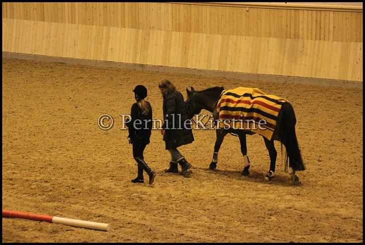 RAMASJANG LIVE PÅ VILHELMSBORG .. billede 291