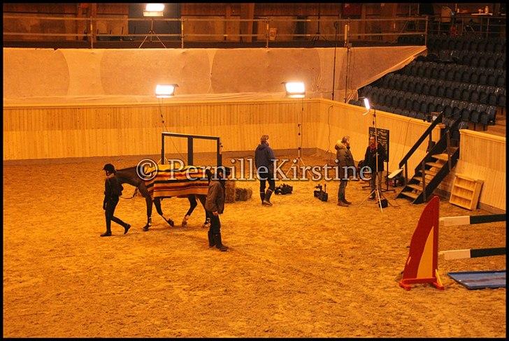 RAMASJANG LIVE PÅ VILHELMSBORG .. billede 292