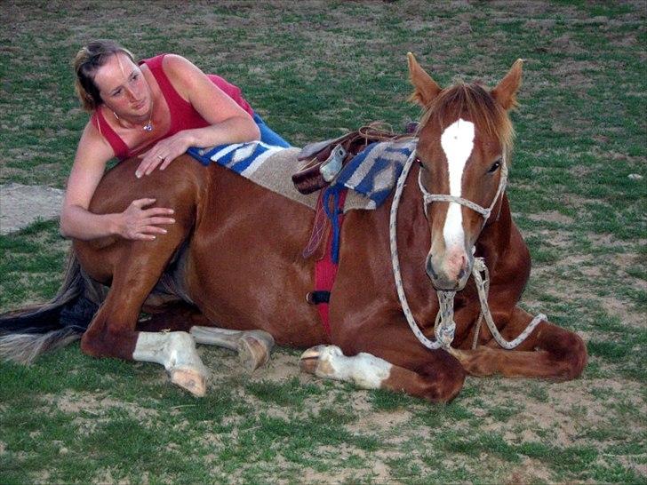 HEARTLAND BØGER - HJÆLP!!! billede 2