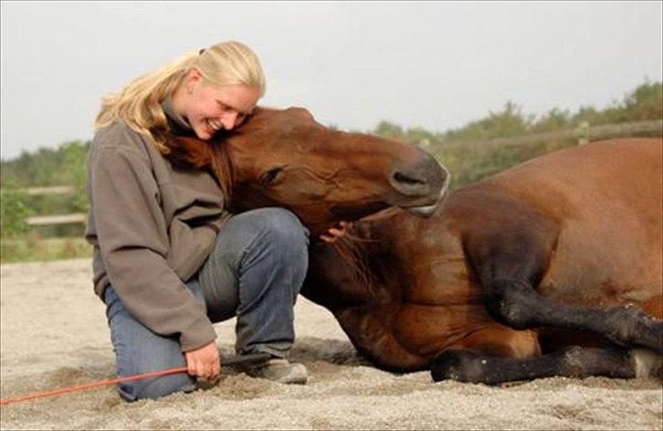 HEARTLAND BØGER - HJÆLP!!! billede 3