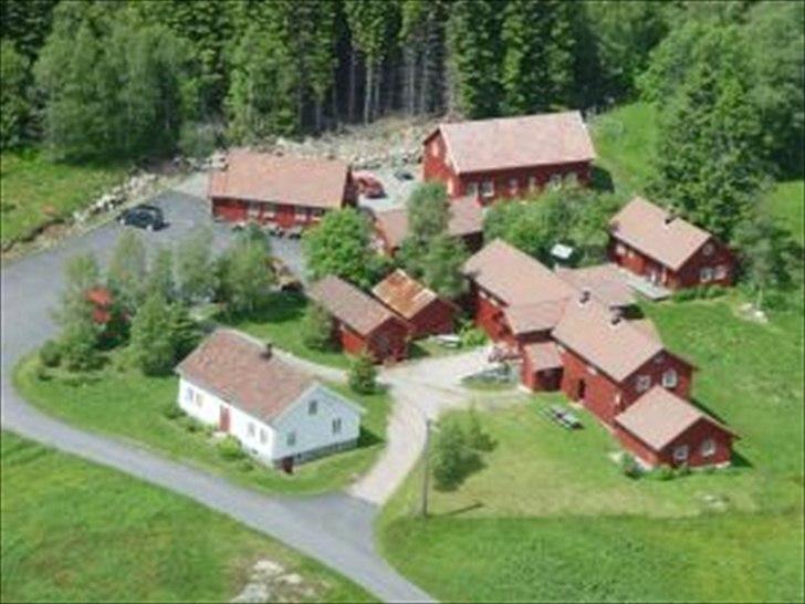 HEARTLAND BØGER - HJÆLP!!! billede 9