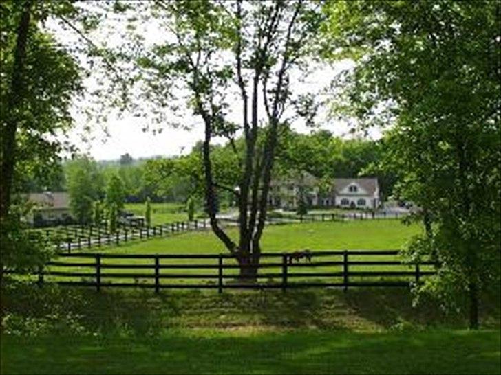 HEARTLAND BØGER - HJÆLP!!! billede 10