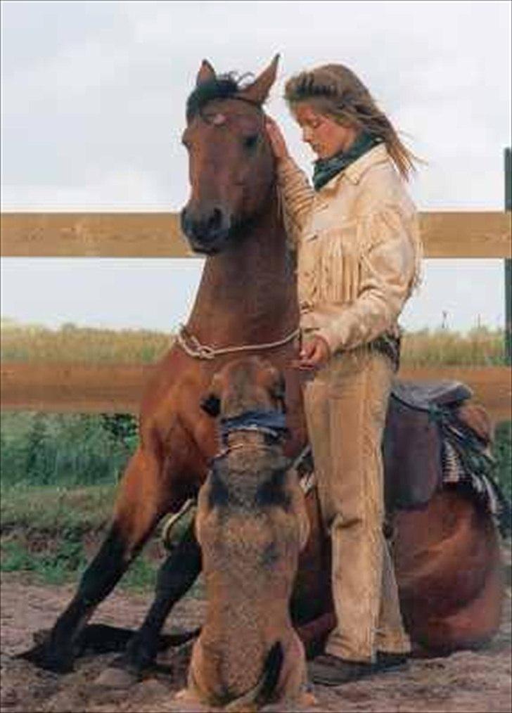 HEARTLAND BØGER - HJÆLP!!! billede 11