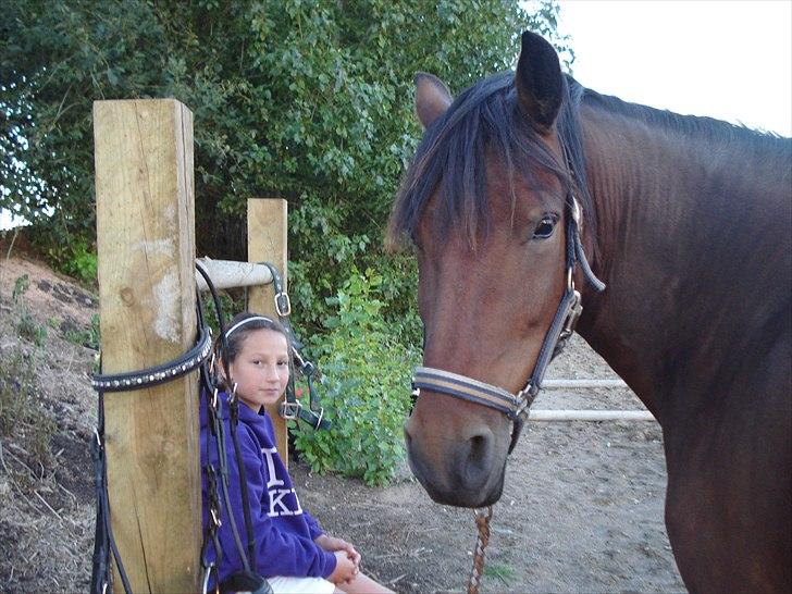 Søde billeder af de kære dyr - Nadine og Elite slapper af efter en dejlig ridetur billede 1