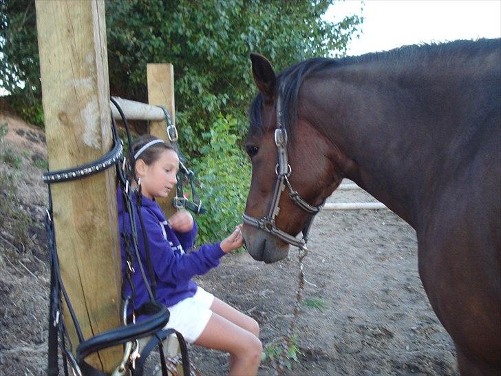 Søde billeder af de kære dyr billede 2