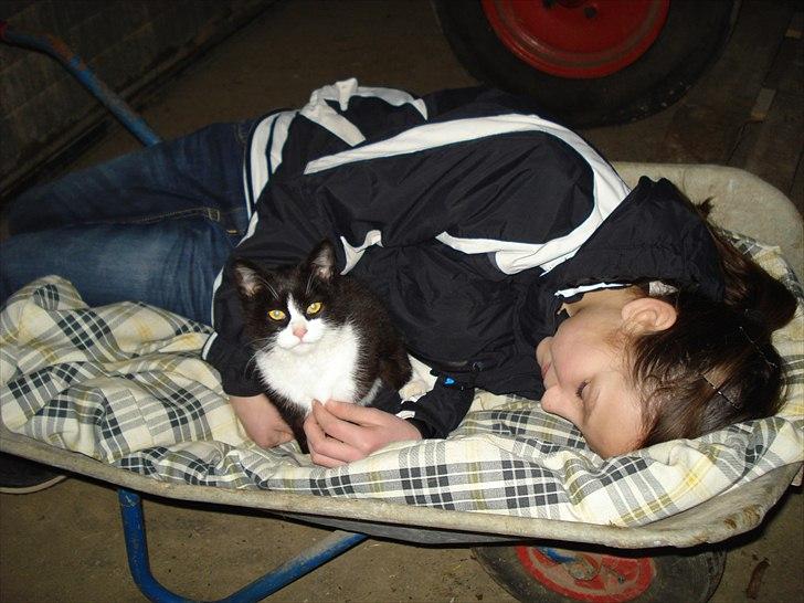 Søde billeder af de kære dyr - Nadine hygger sig med en af vores killiger - Twixie billede 5