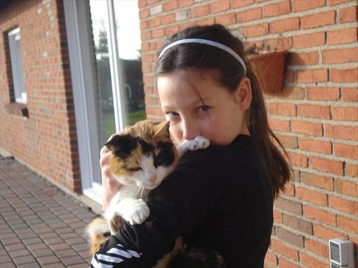 Søde billeder af de kære dyr - Vi må helller ikke glemme den ældre dame Kisser ;0) billede 23