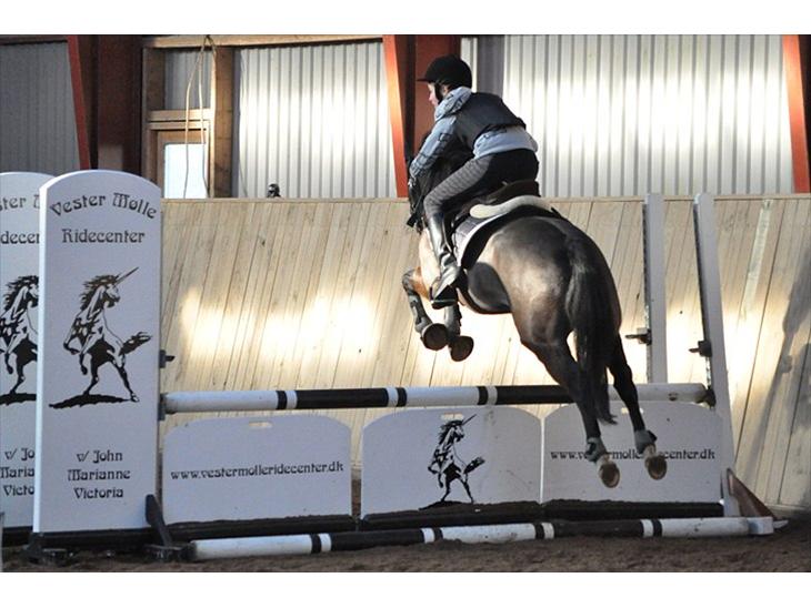 {{currentPhoto.altText}} billede {{currentPhoto.number}}