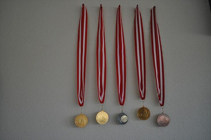 Medaljer og pokaler.. fra skydening :) - Dem alle billede 1
