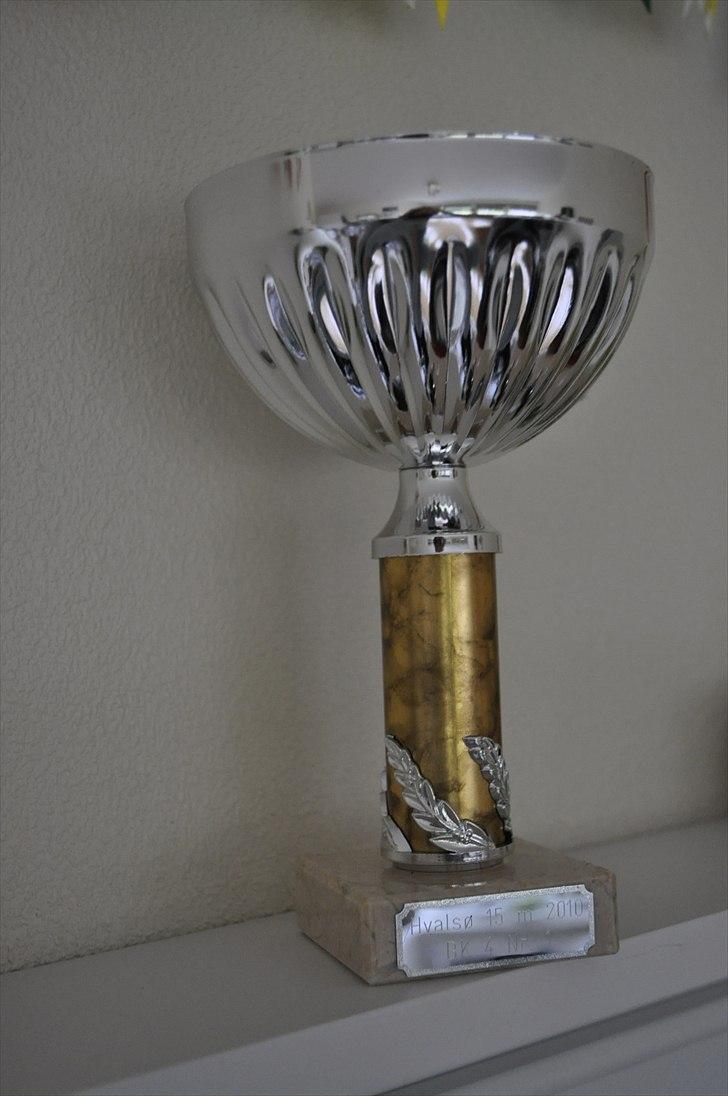 Medaljer og pokaler.. fra skydening :) - 1 plads. mestere i et og lad andet xD 15m 2010 billede 8