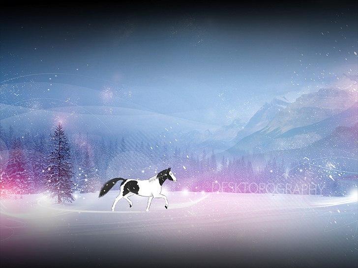 Billeder lavet/redigeret i Photoshop billede 7