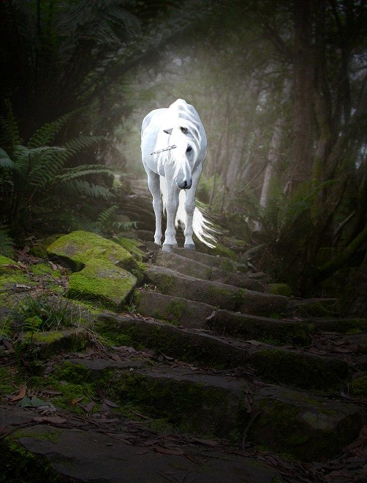 Billeder lavet/redigeret i Photoshop billede 8