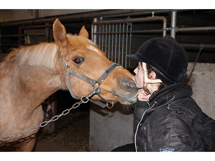 {{currentPhoto.altText}} billede {{currentPhoto.number}}