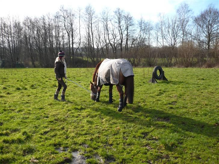 Weekend hos Frede :) billede 8