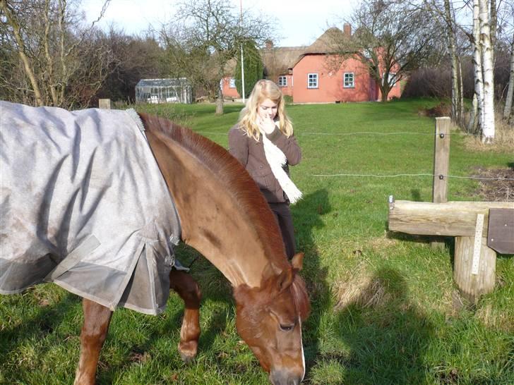 Weekend hos Frede :) billede 13