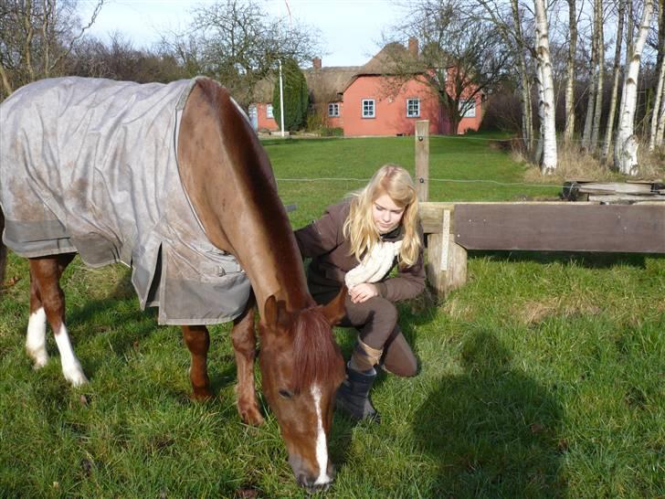 Weekend hos Frede :) billede 14