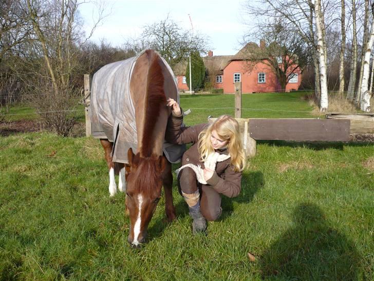 Weekend hos Frede :) billede 15