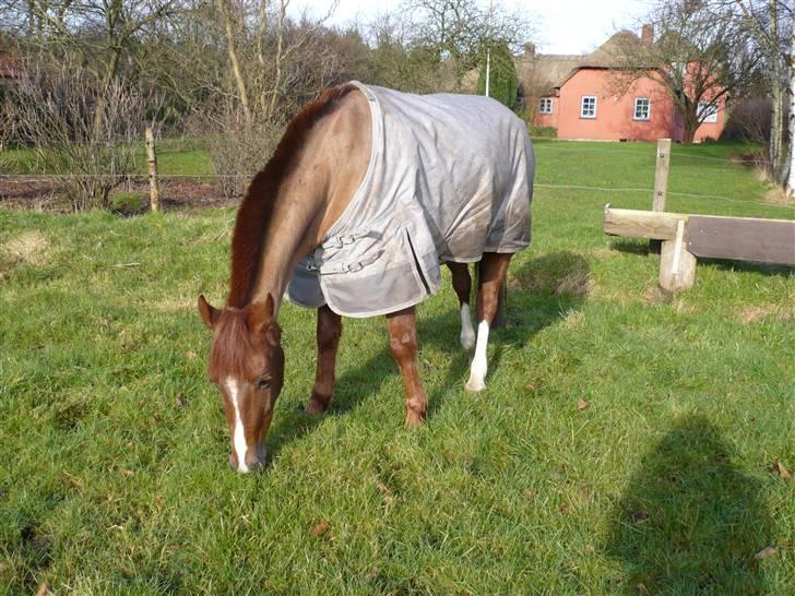 Weekend hos Frede :) billede 17