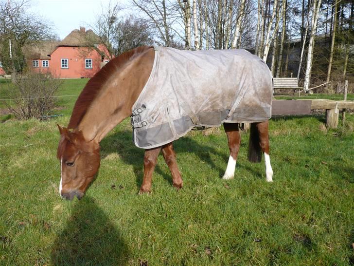 Weekend hos Frede :) billede 18