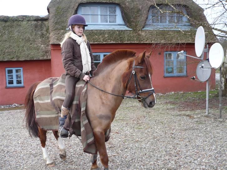 Weekend hos Frede :) billede 23