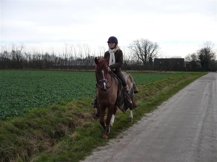 Weekend hos Frede :) billede 24