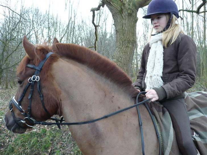 Weekend hos Frede :) billede 27