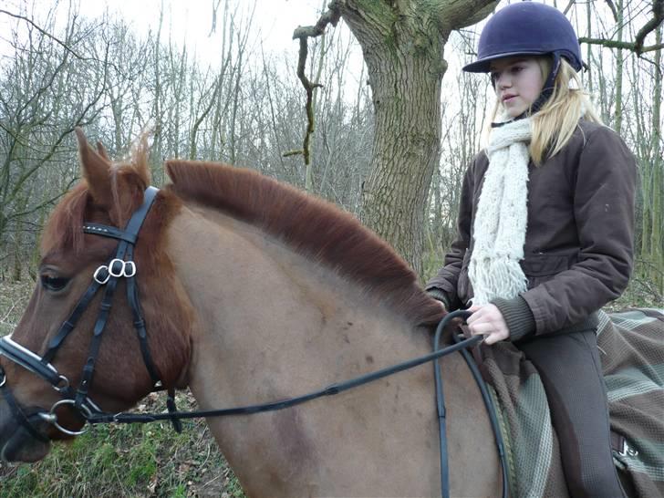 Weekend hos Frede :) billede 28