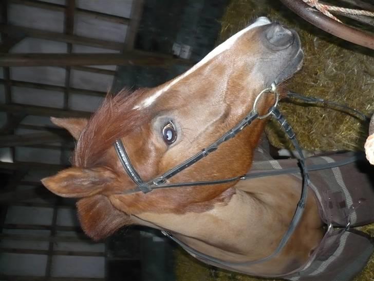 Weekend hos Frede :) billede 31