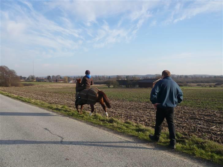 Weekend hos Frede :) billede 39