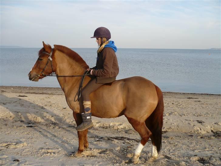 Weekend hos Frede :) billede 40