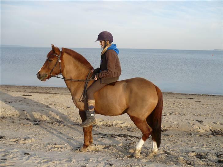 Weekend hos Frede :) billede 41