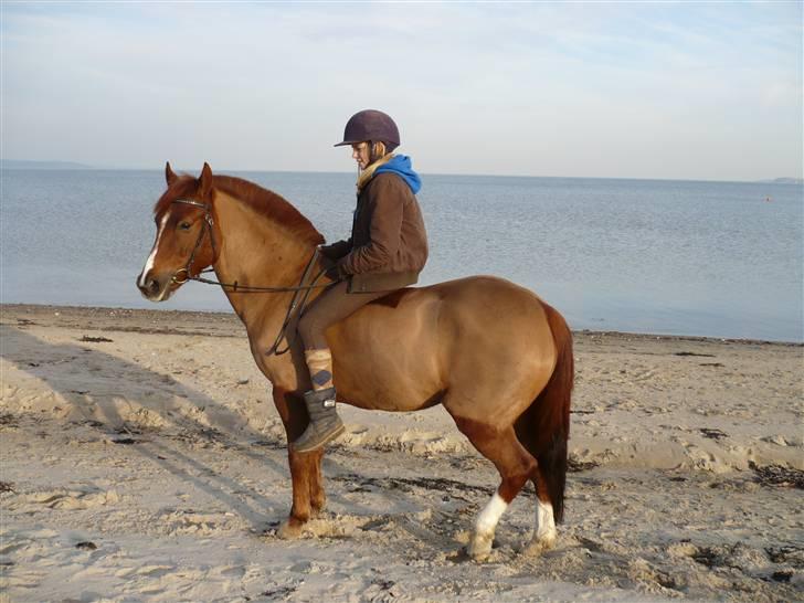 Weekend hos Frede :) billede 42