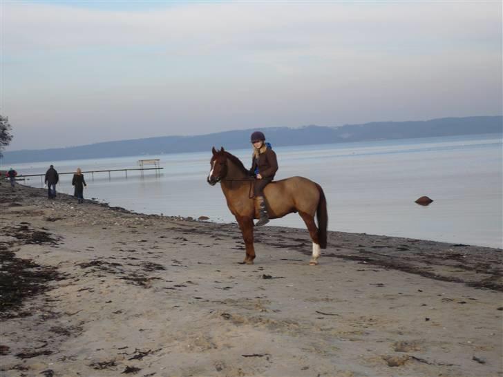 Weekend hos Frede :) billede 43