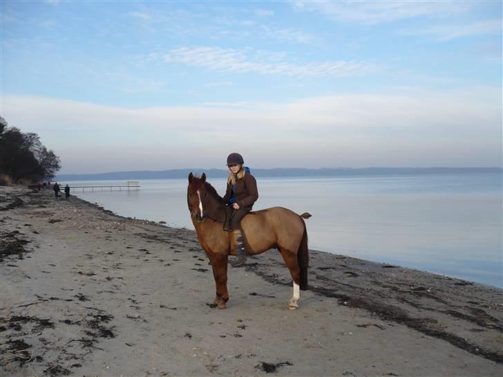 Weekend hos Frede :) billede 44