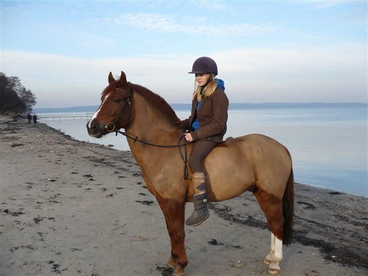 Weekend hos Frede :) billede 45