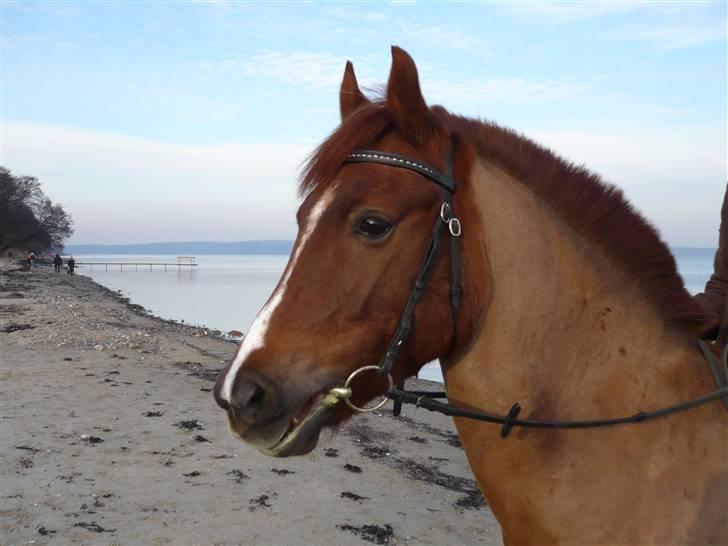 Weekend hos Frede :) billede 46