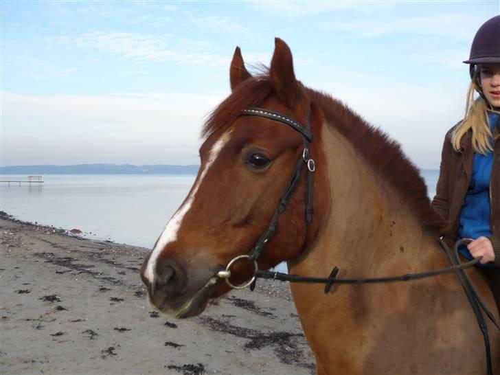 Weekend hos Frede :) billede 47