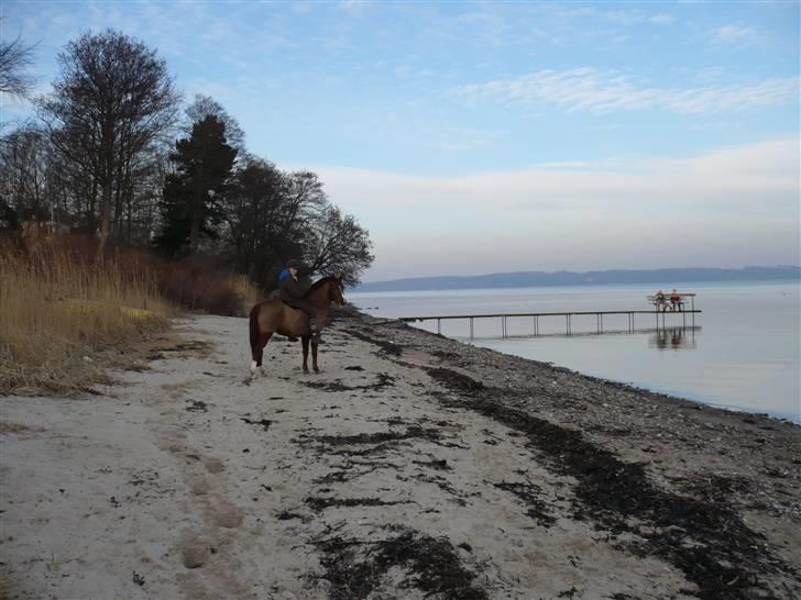 Weekend hos Frede :) billede 51